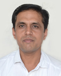 Prof. V. P. Hissal